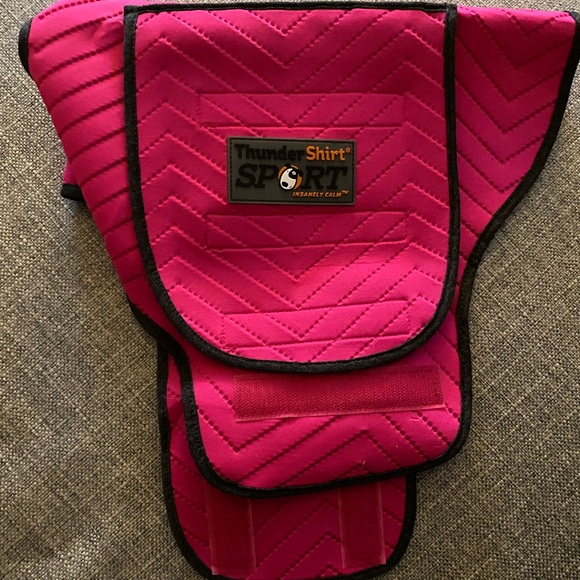 ❌SOLD❌NIB Pink Thunder Shirt - Size Small - Picture 5 of 6